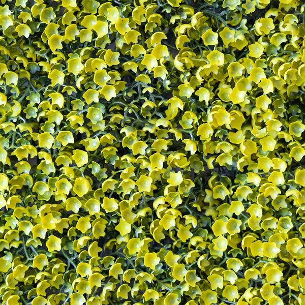 Штучний фітомодуль "Самшит золотий", 60*41 см (9281-003) — фото 3