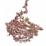 Декор Elso гірлянда Рожеві бусики 3 м (6008-008)