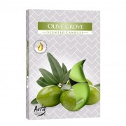 Свічка чайна Flora таблетка ароматична Bispol Оливковий гай D-3,9 см. 6 шт. 27344