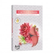 Свічка чайна Flora таблетка ароматична Bispol Квітка кактуса D-3,9 см. 6 шт. 27338