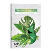 Свічка чайна Flora таблетка ароматична Bispol Тропічний острів D-3,9 см. 6 шт. 27324