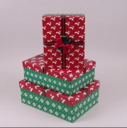 Комплект коробок для подарунків Flora 3 шт. 41221