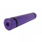 Коврик для фитнеса и йоги PROFI M 0380-3 violet