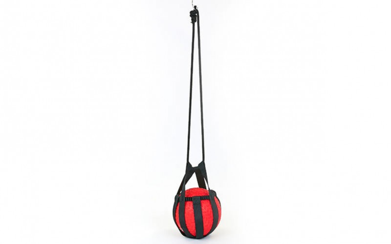 Сумка тренировочная для медболов, слэмболов, волболов Tornado Ball Bag FI-5744 Black