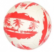 Мяч волейбольный EN 3296