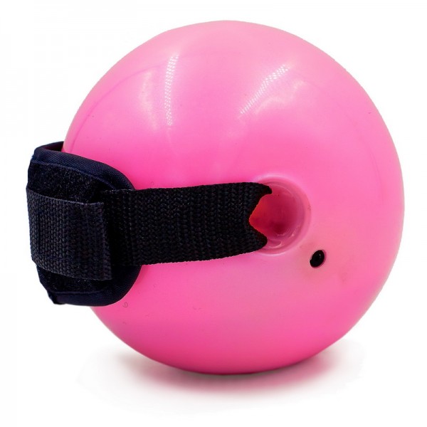 Мяч утяжеленный с манжетом (2x1,5LB) Pro Supra WEIGHTED EXERCISE BALL 030-1_5LB Pink