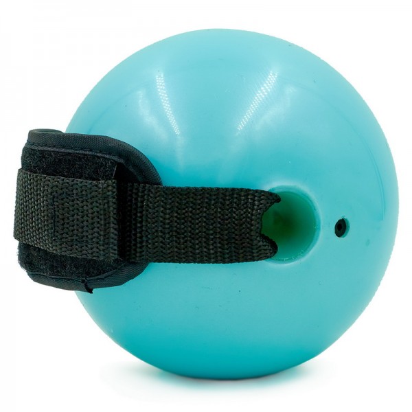 Мяч утяжеленный с манжетом (2x1LB) Pro Supra WEIGHTED EXERCISE BALL 030-1LB Blue