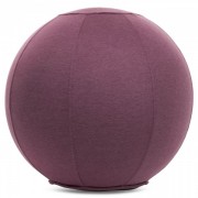 М'яч для фітнесу FI-1466 Фіолетовий