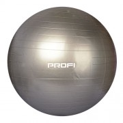 Profi Ball 85 см (MS 1578) Серебристый