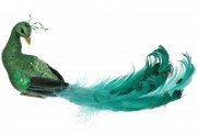 Декоративний птах Bon на кліпсі Павич 30см, колір - зелений 155-525-2