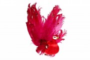 Декоративная птичка Bon Павлин, цвет - красный 117-522