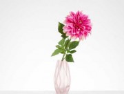 Искусственный цветок Dahlia 77 см EH