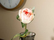 Искусственный цветок Dream Rose  52 см оранжевый EH