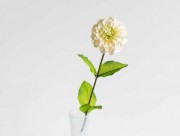 Искусственный цветок Gerbera Flower  66 см кремовый EH