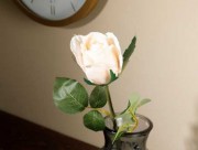 Искусственный цветок Dream Rose  52 см кремовый EH