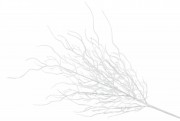 Декоративна гілка в інеї, 70см, колір - білий Bon 839-021