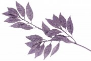 Декоративна гілка 76см, колір - фіолет Bon 839-308