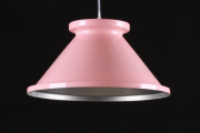 Подвесная люстра Ray L372/1 (MIX) белый,розовый