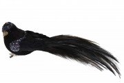 Декоративний птах Bon на кліпсі 19см, колір - чорний 499-038