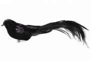 Декоративний птах на кліпсі Bon 30см, колір - чорний 499-080