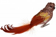 Декоративная птица на клипсе Bon 20см, цвет - тёмно-коричневый 155-522