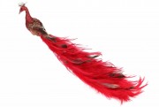 Декоративная птица с клипсой Bon Павлин, цвет - красный, 42см 743-353