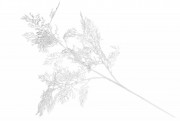 Декоративна гілка 69см, колір - білий глітер Bon 901-070