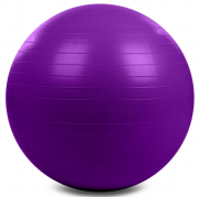 М'яч для фітнесу фітбол сатин Zelart FI-1984-75 75см Темно-фіолетовий