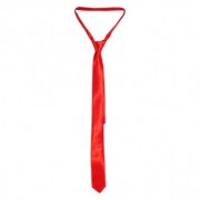 Краватка Класика Seta 10-79RD