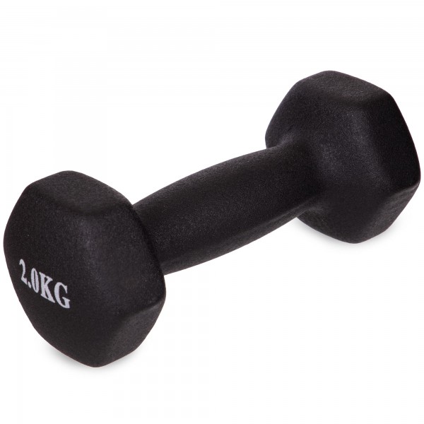 Гантели для фитнеса с неопреновым покрытием глянец, мат SP-Planeta Радуга TA-0001-2 (1x2кг), черный