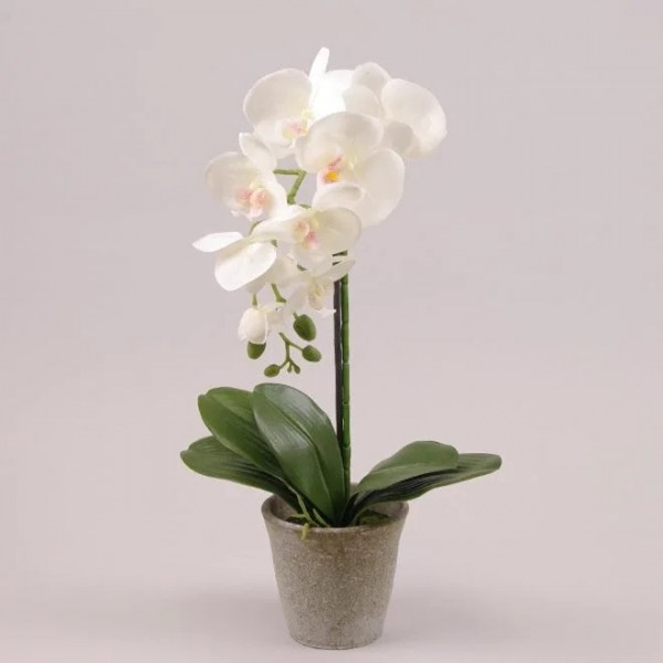 Орхідея в горщику 55 см. Flora 72681
