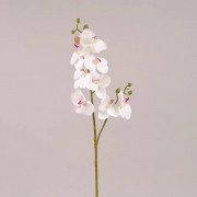 Фаленопсис из латекса белый с розовой серединкой Flora 72613