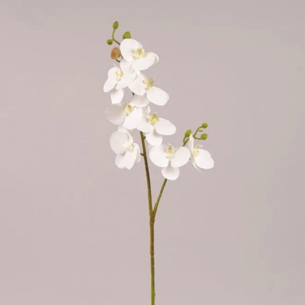 Фаленопсис із латексу білий Flora 72612