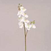 Фаленопсис из латекса белый Flora 72612