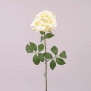 Роза кремовая Flora 72816