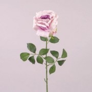Роза фиолетовая Flora 72820