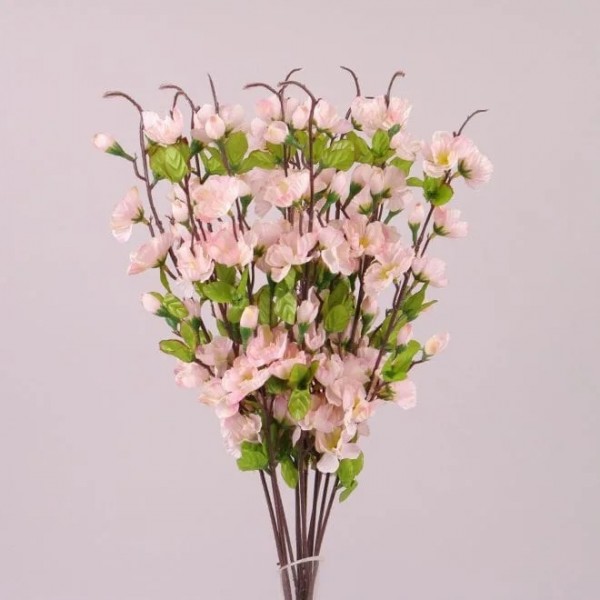 Колір Яблуні біло-рожевий Flora 72268 12шт