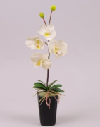 Декорация фаленопсис белая Flora 36 см 7353