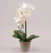 Искусственная Flora Орхидея в горшке 55 см 72681