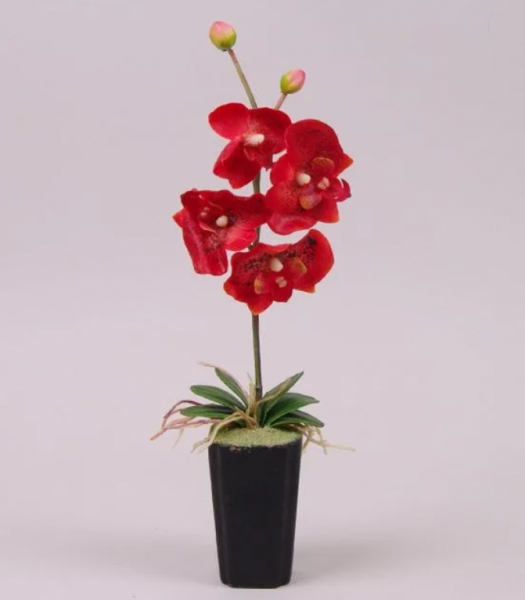 Декорация Flora фаленопсис красная 36 см 7354