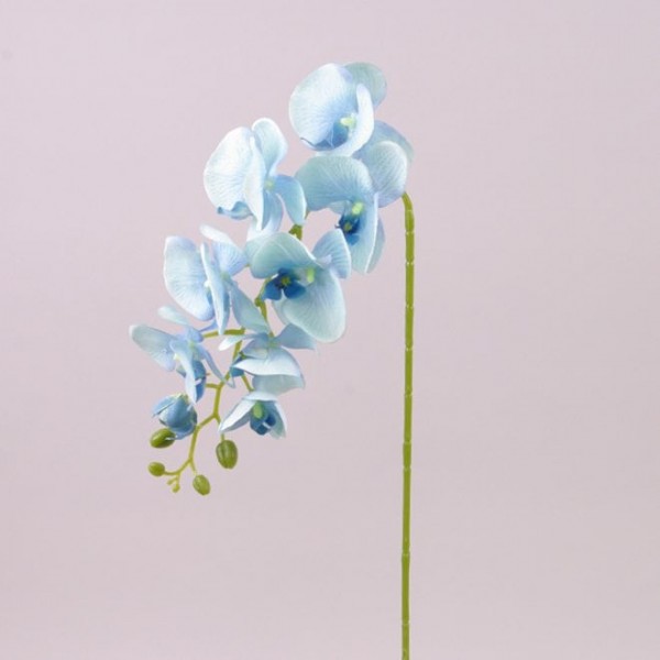 Квітка Фаленопсис Flora Блакитний 72793