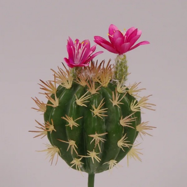 Кактус искусственный Flora с розовым цветом 27 см. 71451