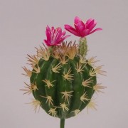 Кактус искусственный Flora с розовым цветом 27 см. 71451