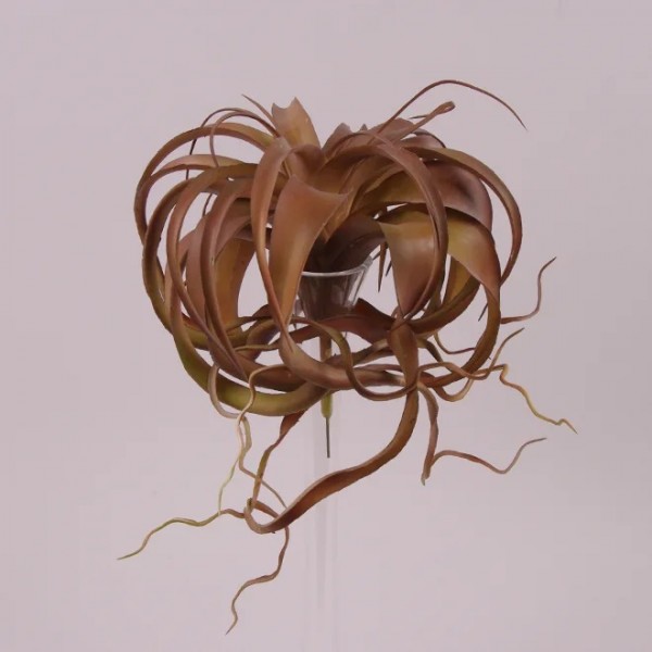 Сукулент штучний Flora коричневий 28 см. 72225