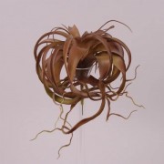 Суккулент искусственный Flora коричневый 28 см. 72225
