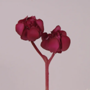 Суккулент искусственный бордовый 16 см. Flora 72210
