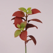 Декоративная веточка Мяты красная 22 см. Flora 72214
