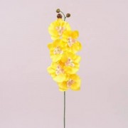 Цветок Фаленопсис желтый Flora 72874