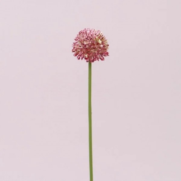Цветок Чеснока бело-красный Flora 72884
