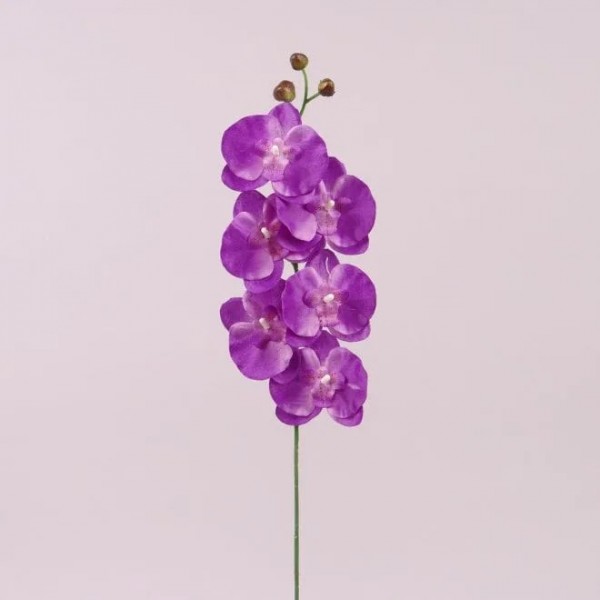 Квітка Фаленопсис світло-фіолетовий Flora 72879